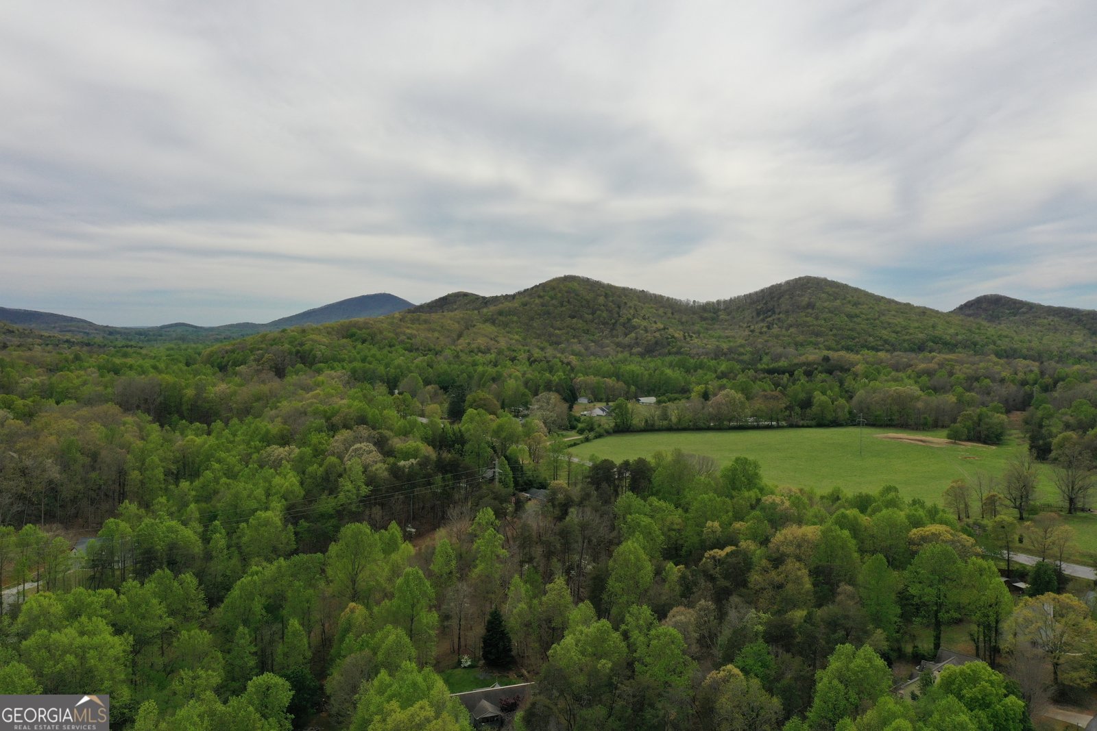 163 Turner Ridge Drive Cleveland - Photo 37