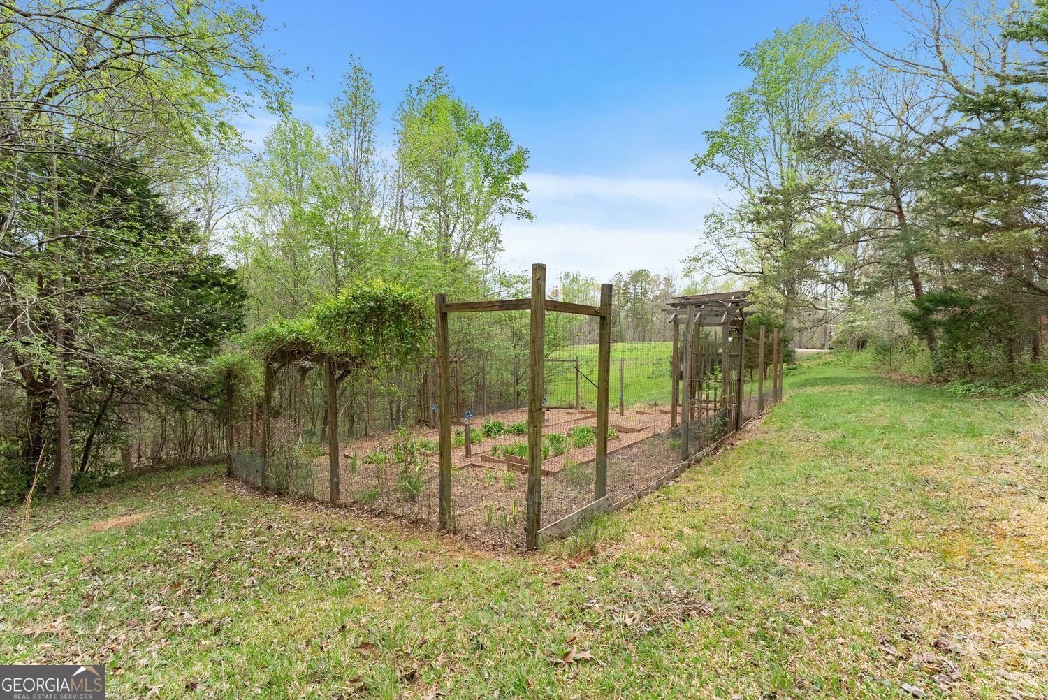 353 Riverwood Road Lula - Photo 42