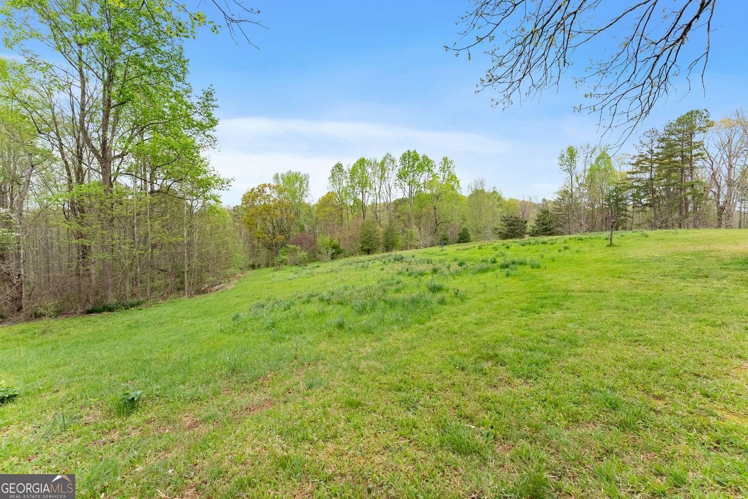 353 Riverwood Road Lula - Photo 45