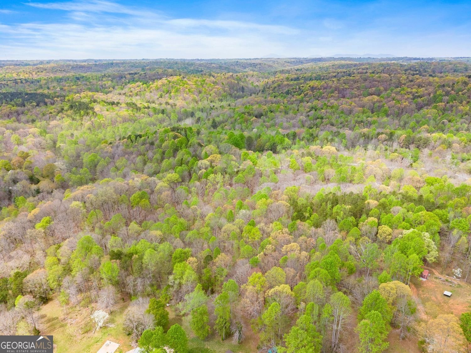 353 Riverwood Road Lula - Photo 69