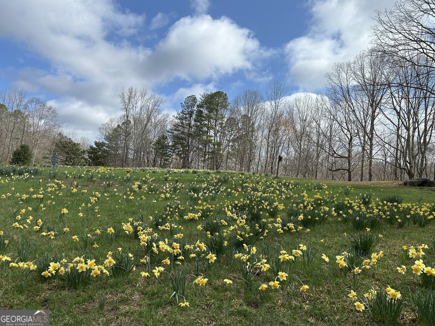 353 Riverwood Road Lula - Photo 74