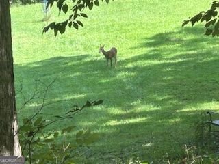 353 Riverwood Road Lula - Photo 75