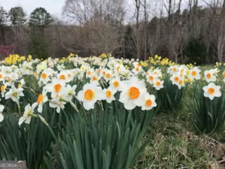 353 Riverwood Road Lula - Photo 77