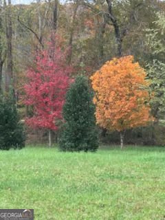 353 Riverwood Road Lula - Photo 78