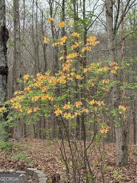 353 Riverwood Road Lula - Photo 79