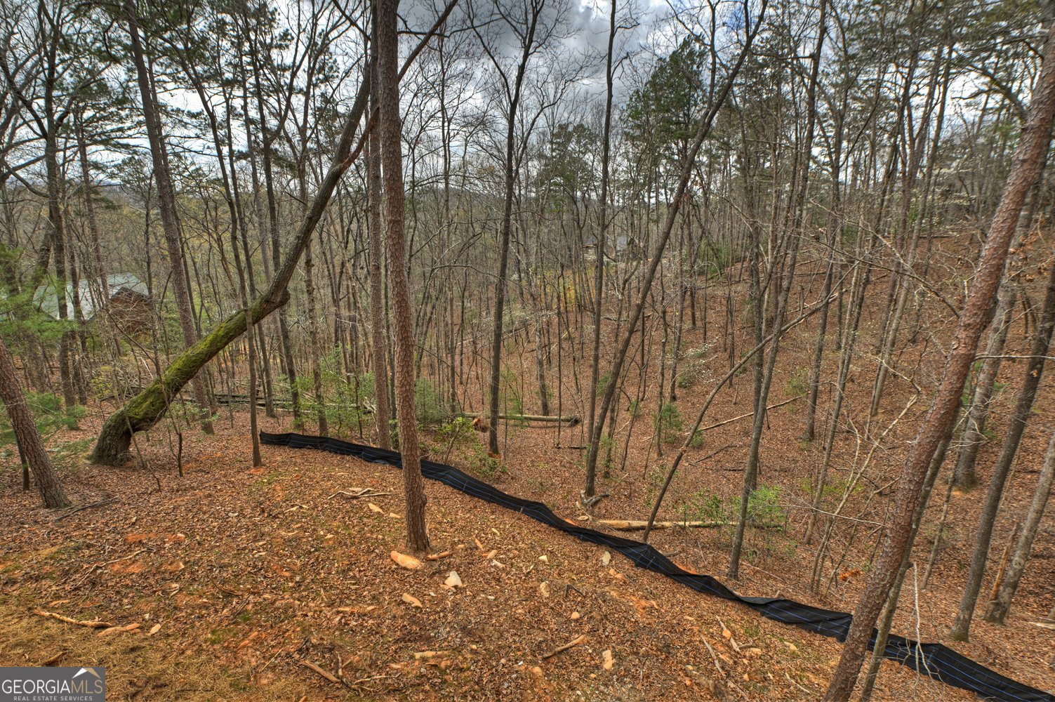 962 Maggie Chapman Road Cherry Log - Photo 30
