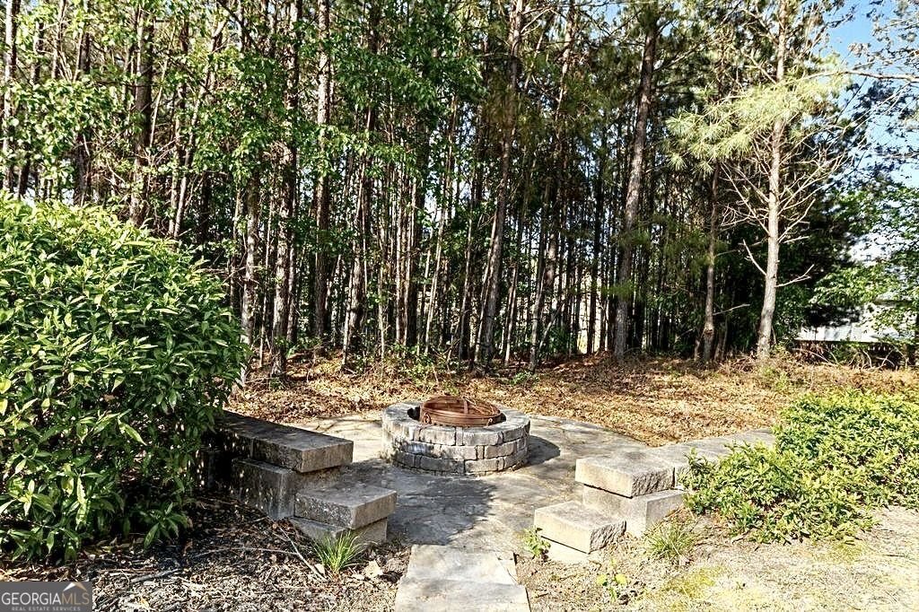 339 Oatgrass Drive Grayson - Photo 40