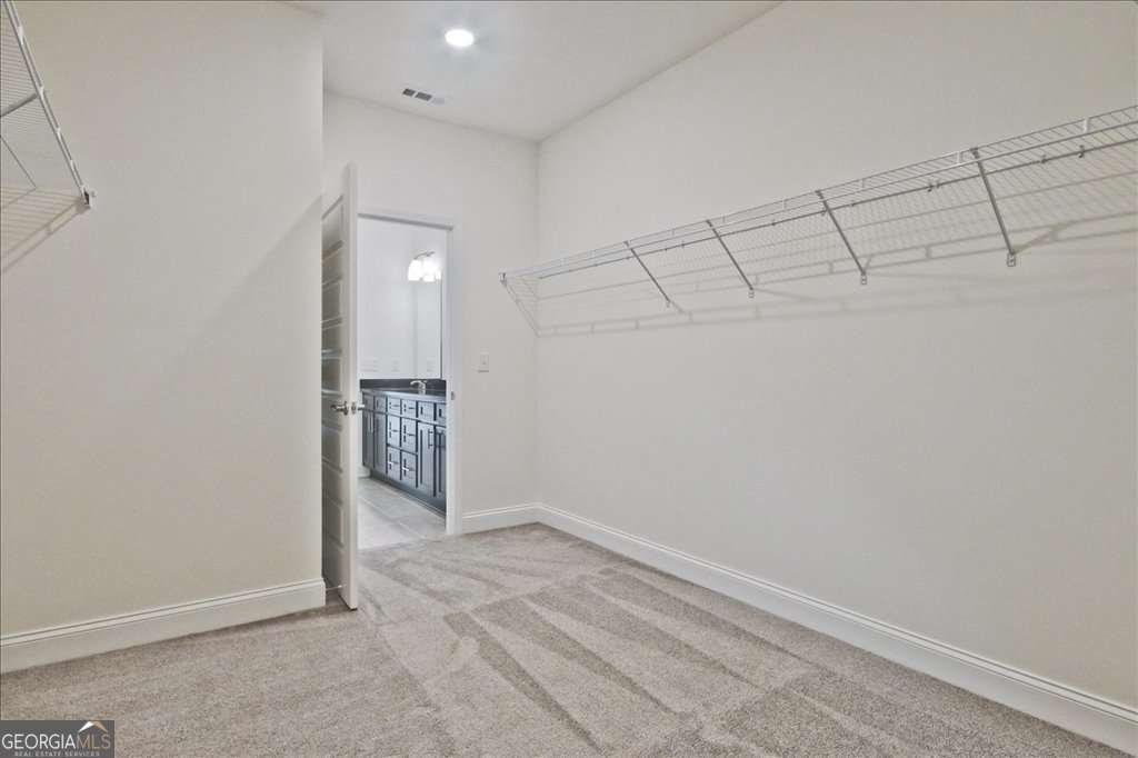 2444 Anhinga Drive Loganville - Photo 26