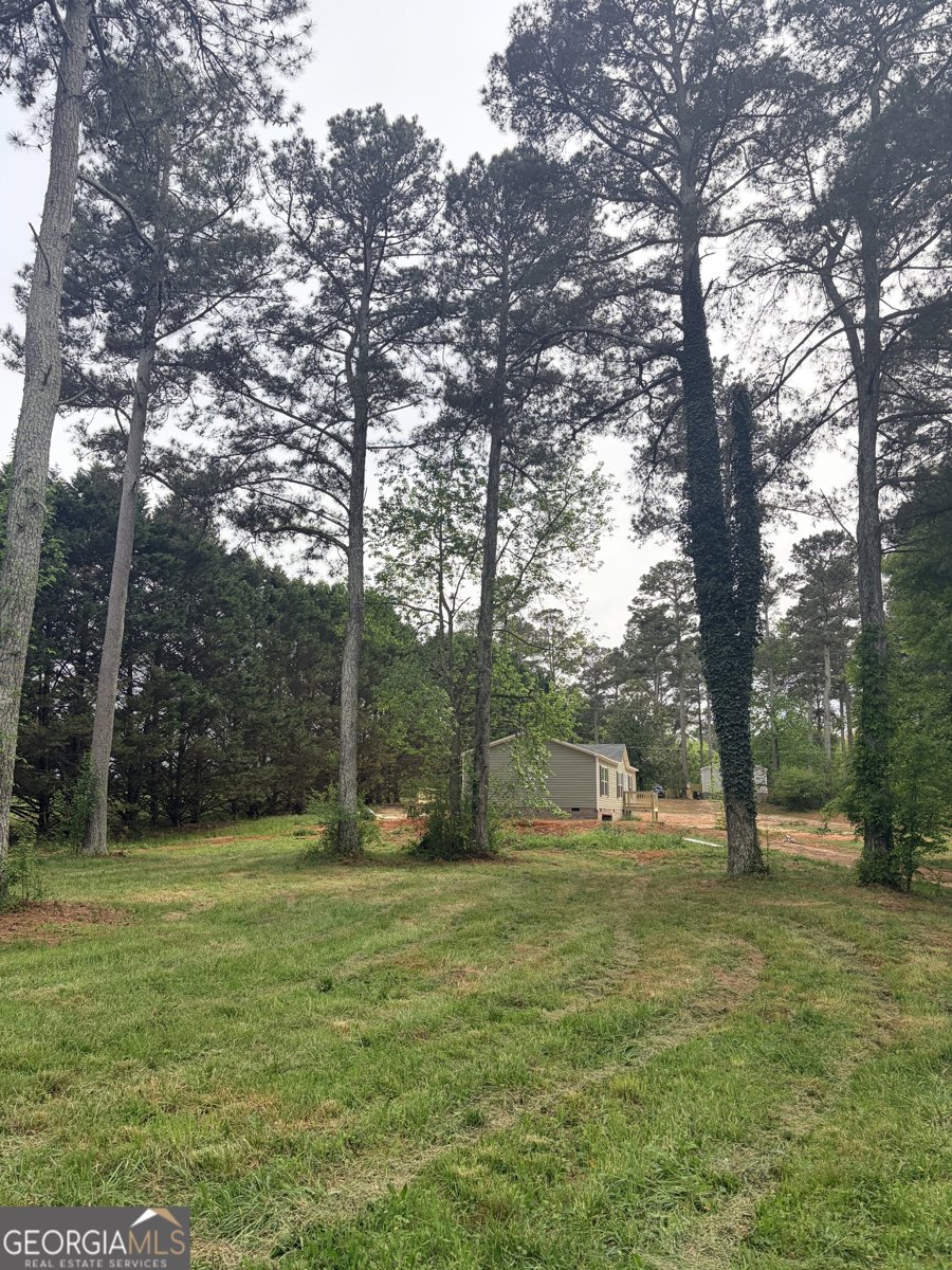 225 Rehoboth Road Bowman - Photo 17