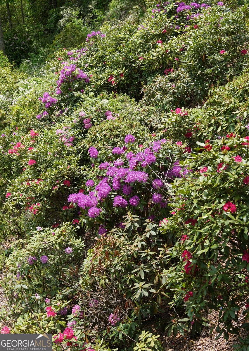 115 Dam Lake Drive Dillard - Photo 10