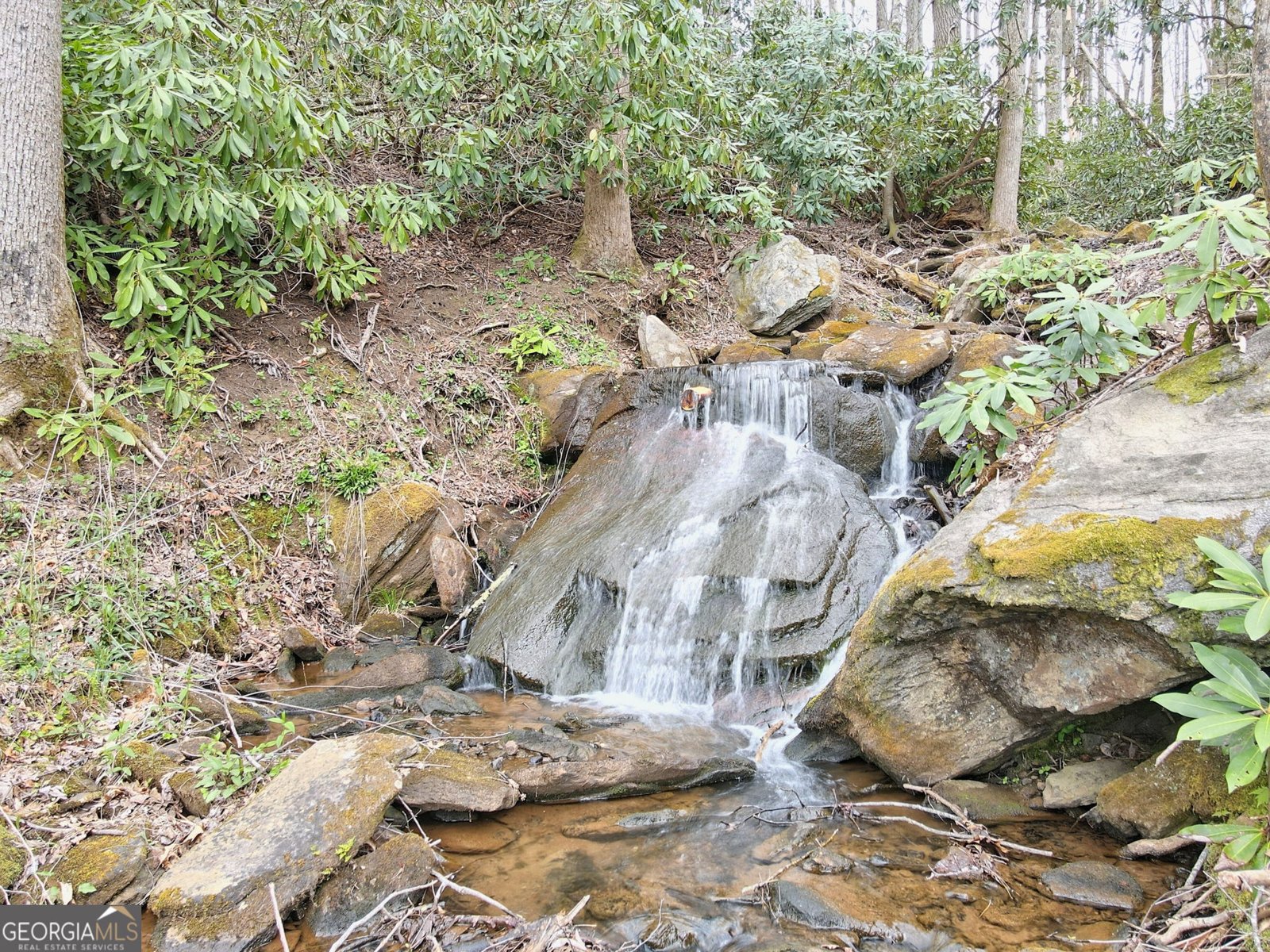 115 Dam Lake Drive Dillard - Photo 11