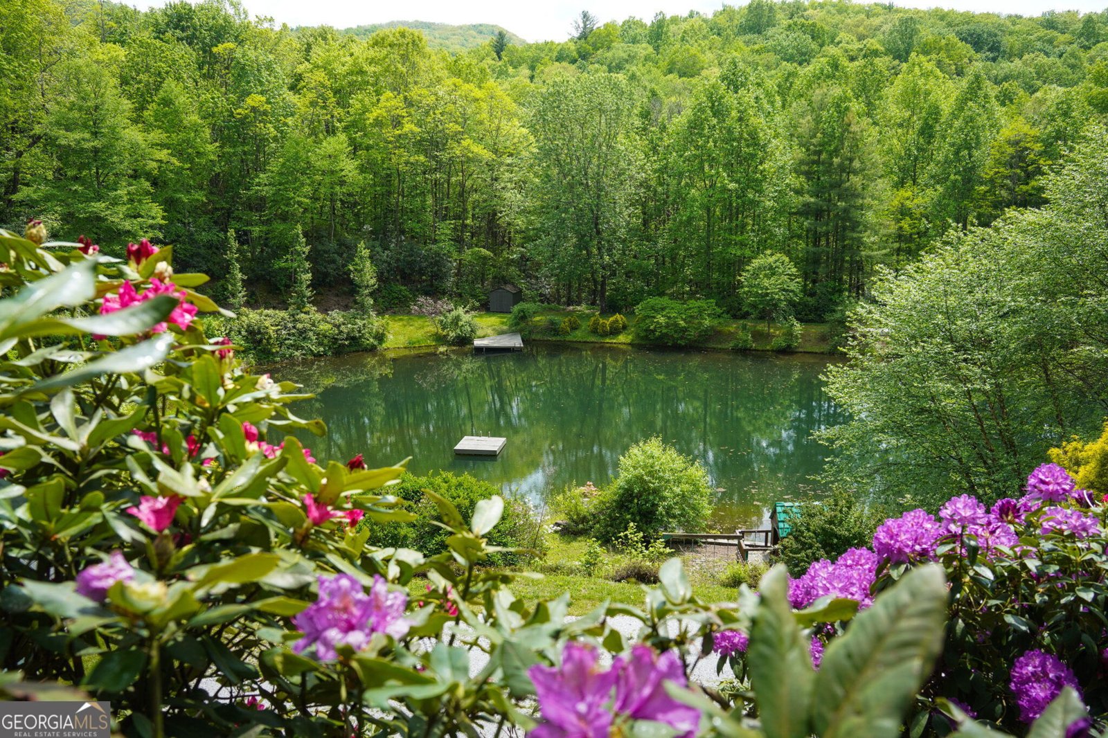 115 Dam Lake Drive Dillard - Photo 12