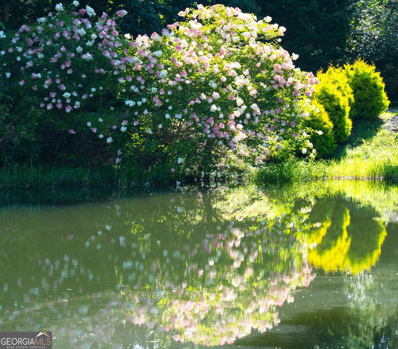 115 Dam Lake Drive Dillard - Photo 13