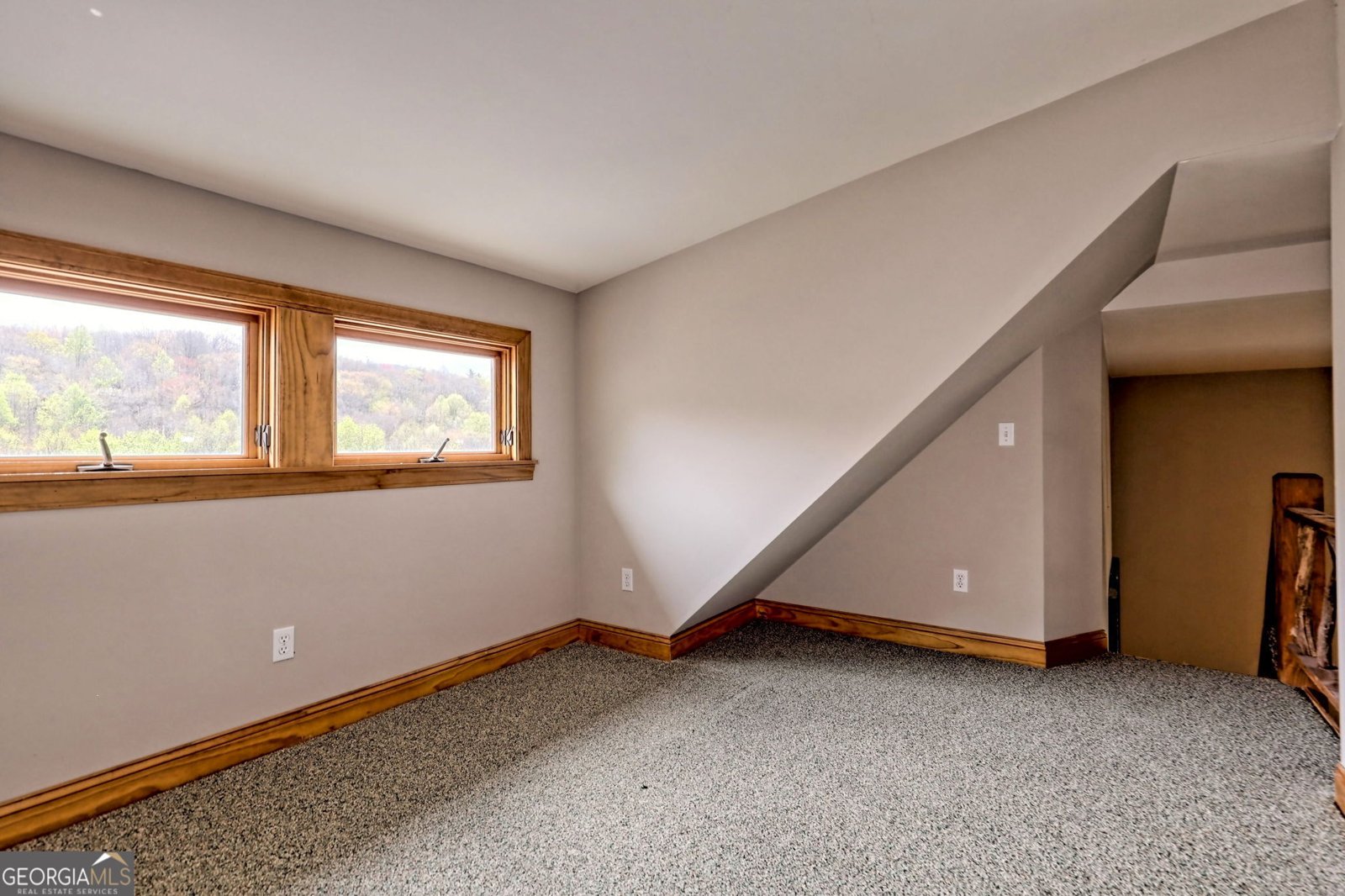 115 Dam Lake Drive Dillard - Photo 53