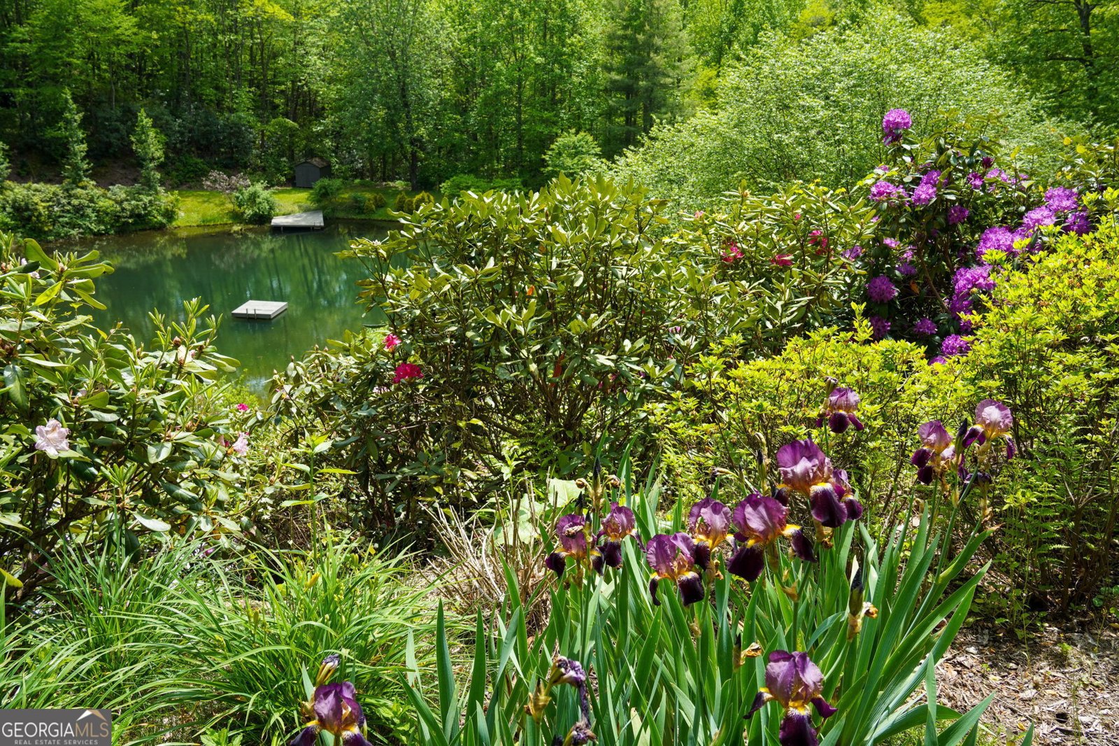 115 Dam Lake Drive Dillard - Photo 9