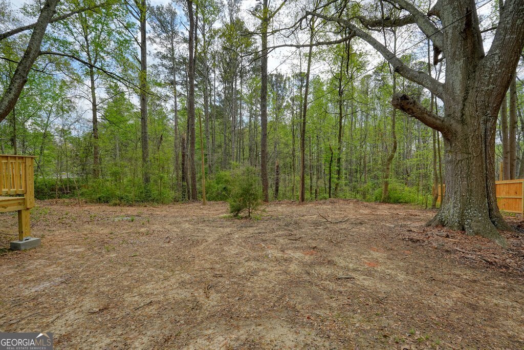 117 Chester Harris Drive Dallas - Photo 34