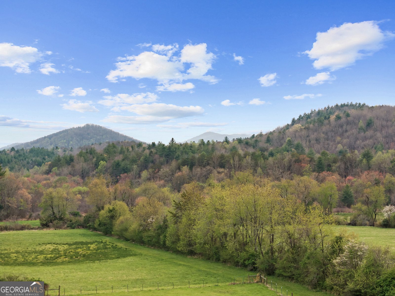 95 Hickory Avenue Blue Ridge - Photo 11