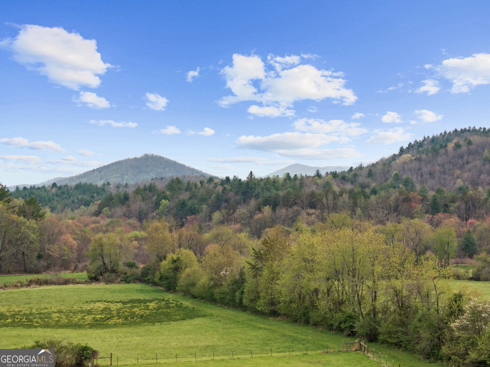 95 Hickory Avenue Blue Ridge - Photo 35