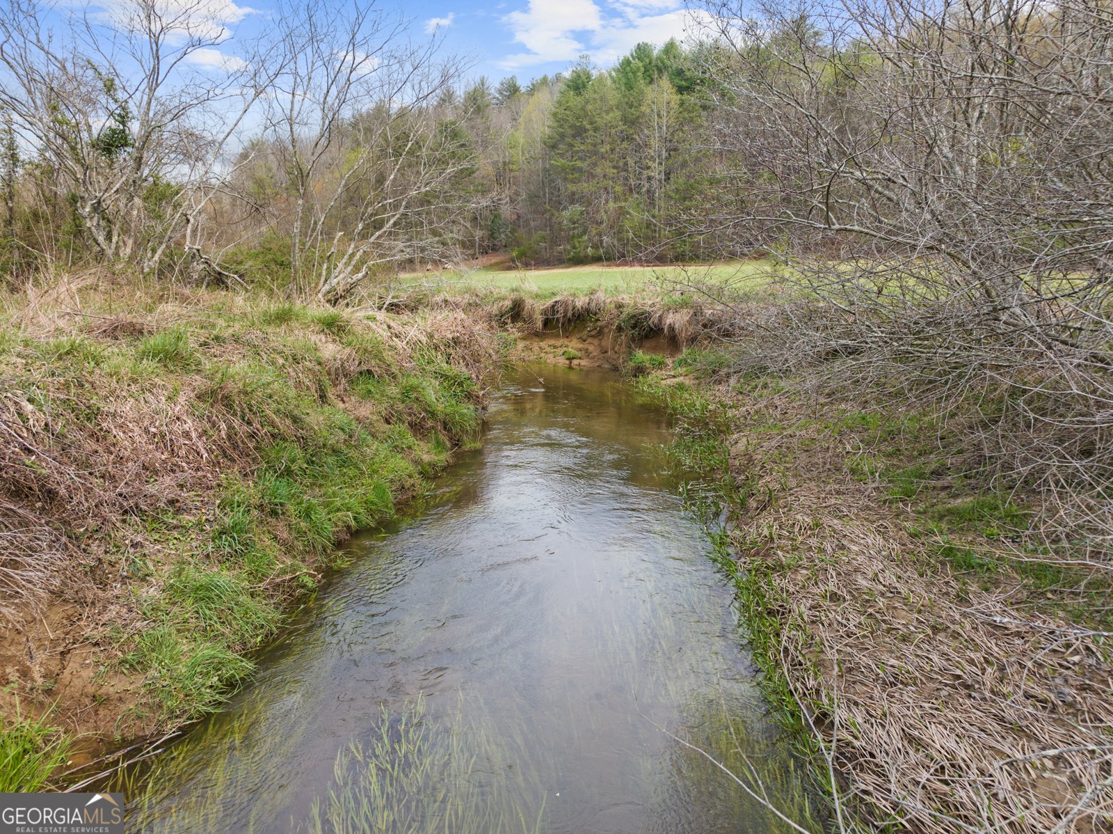 95 Hickory Avenue Blue Ridge - Photo 6