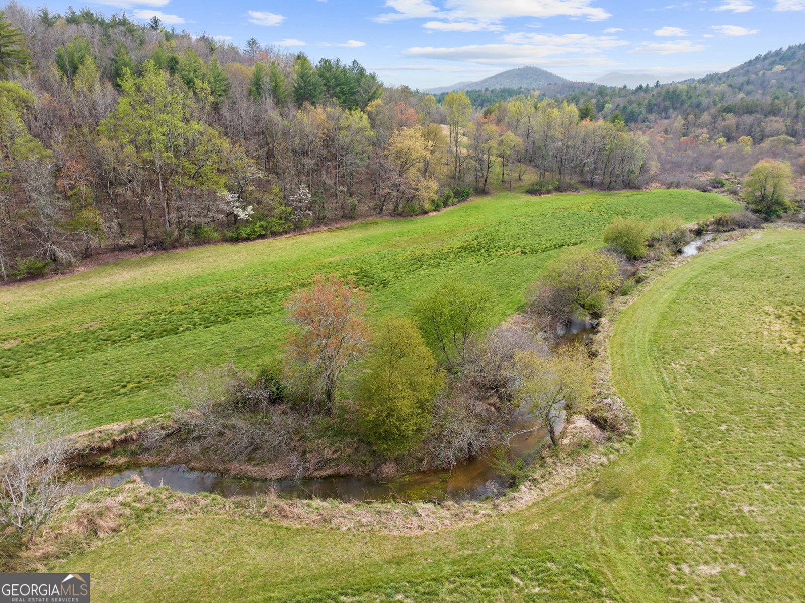 95 Hickory Avenue Blue Ridge - Photo 7