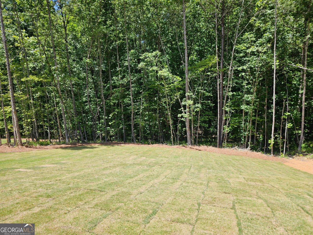 479 Principal Meridian Drive Dallas - Photo 18