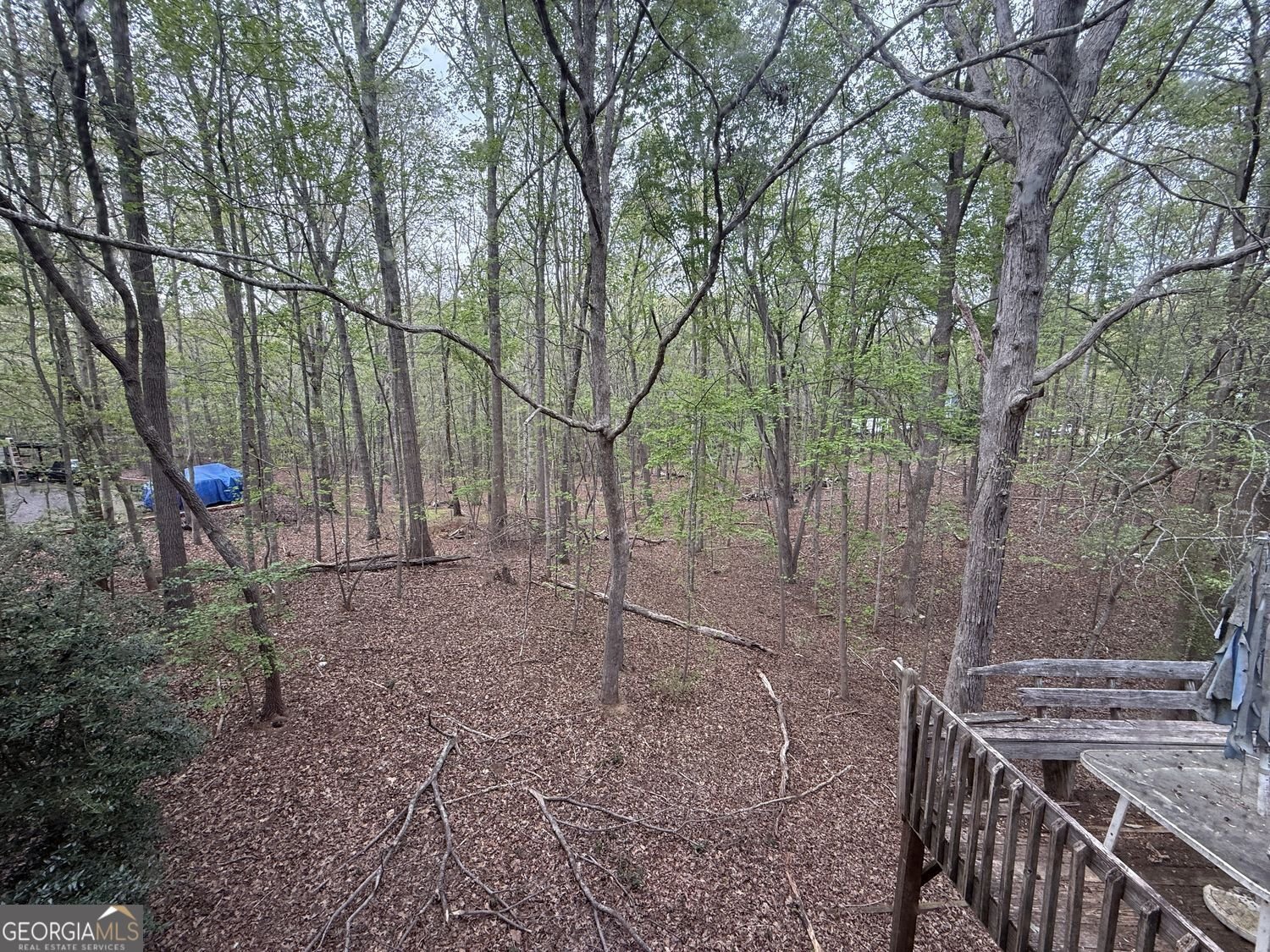 904 Allatoona Road Woodstock - Photo 16