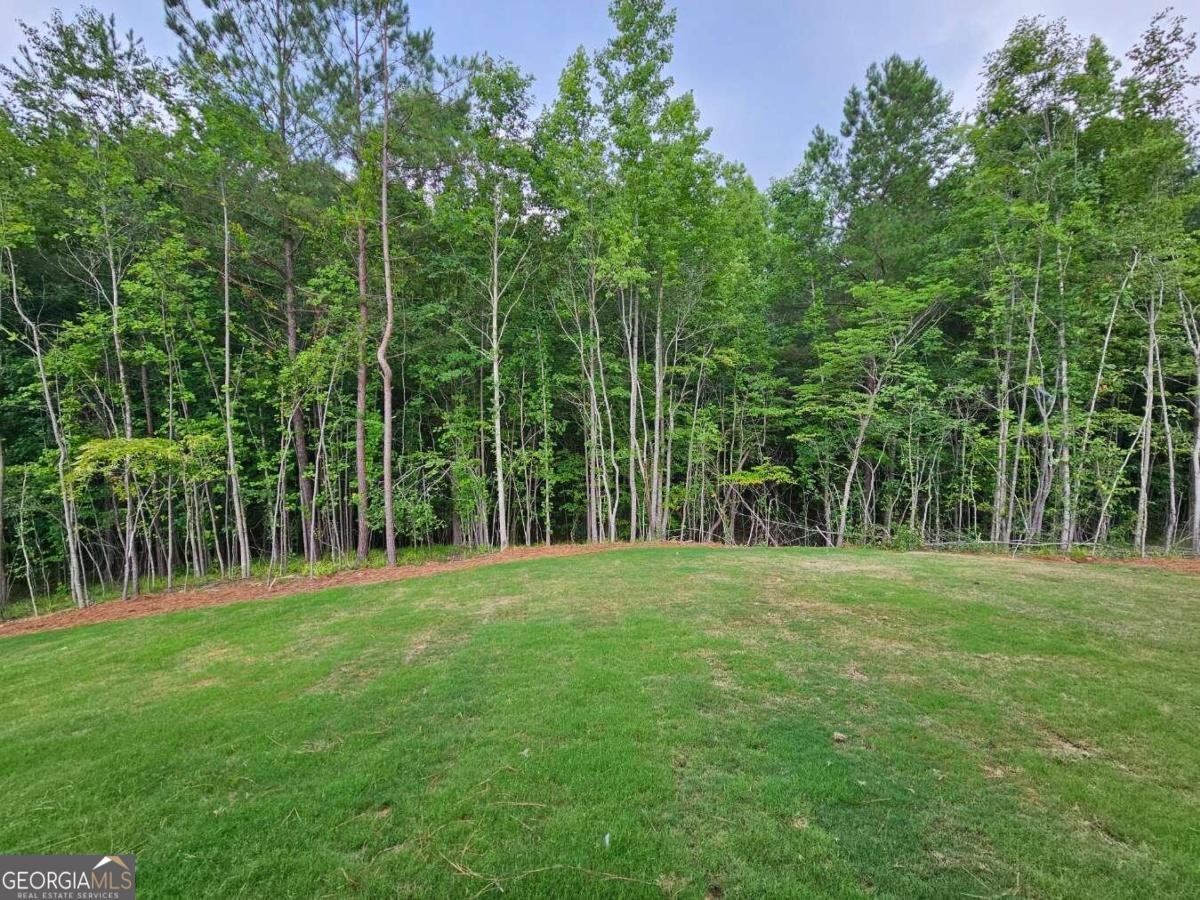 497 Principal Meridian Drive Dallas - Photo 14