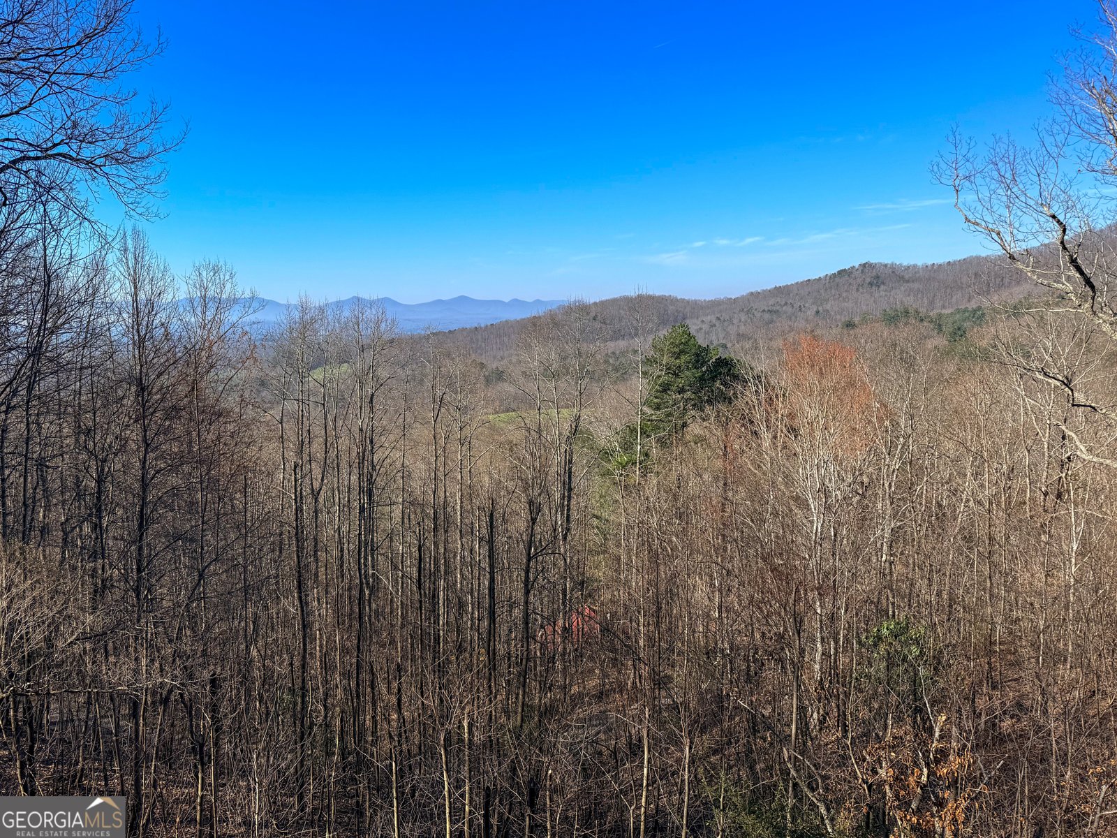 221 Wilson Lane Blairsville - Photo 27