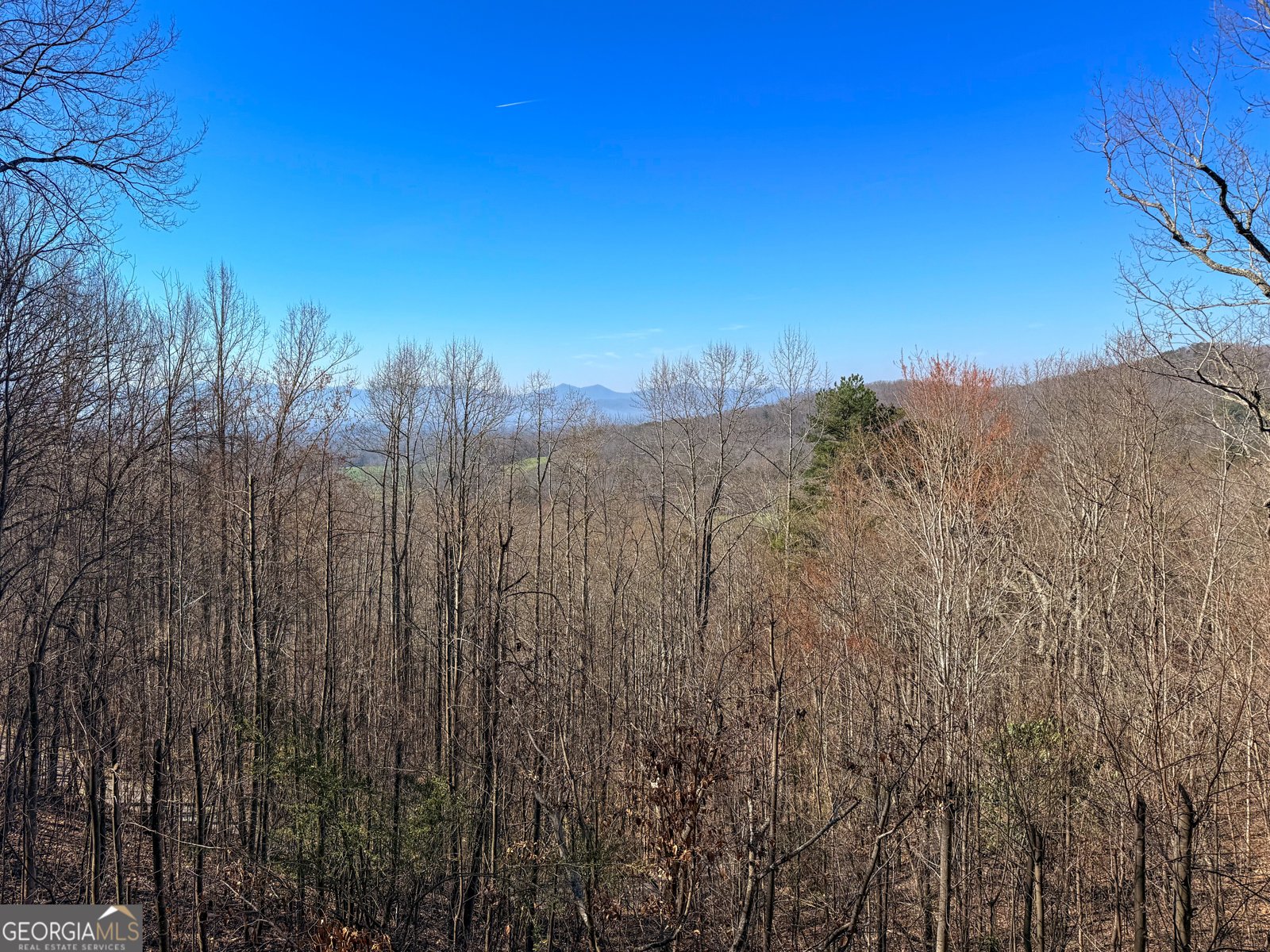 221 Wilson Lane Blairsville - Photo 36