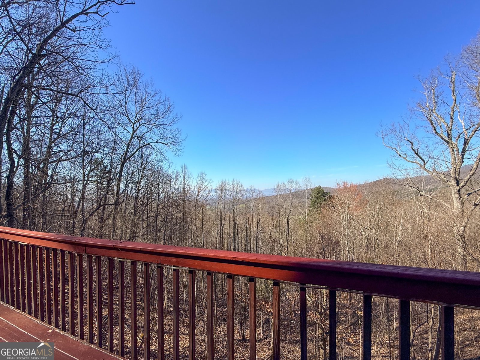 221 Wilson Lane Blairsville - Photo 37