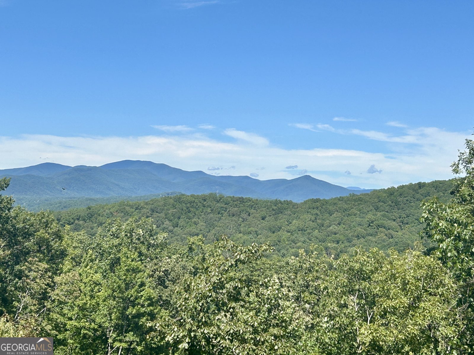 213 Matterhorn Drive Sautee Nacoochee - Photo 47