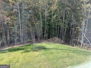 517 Principal Meridian Drive Dallas - Photo 17