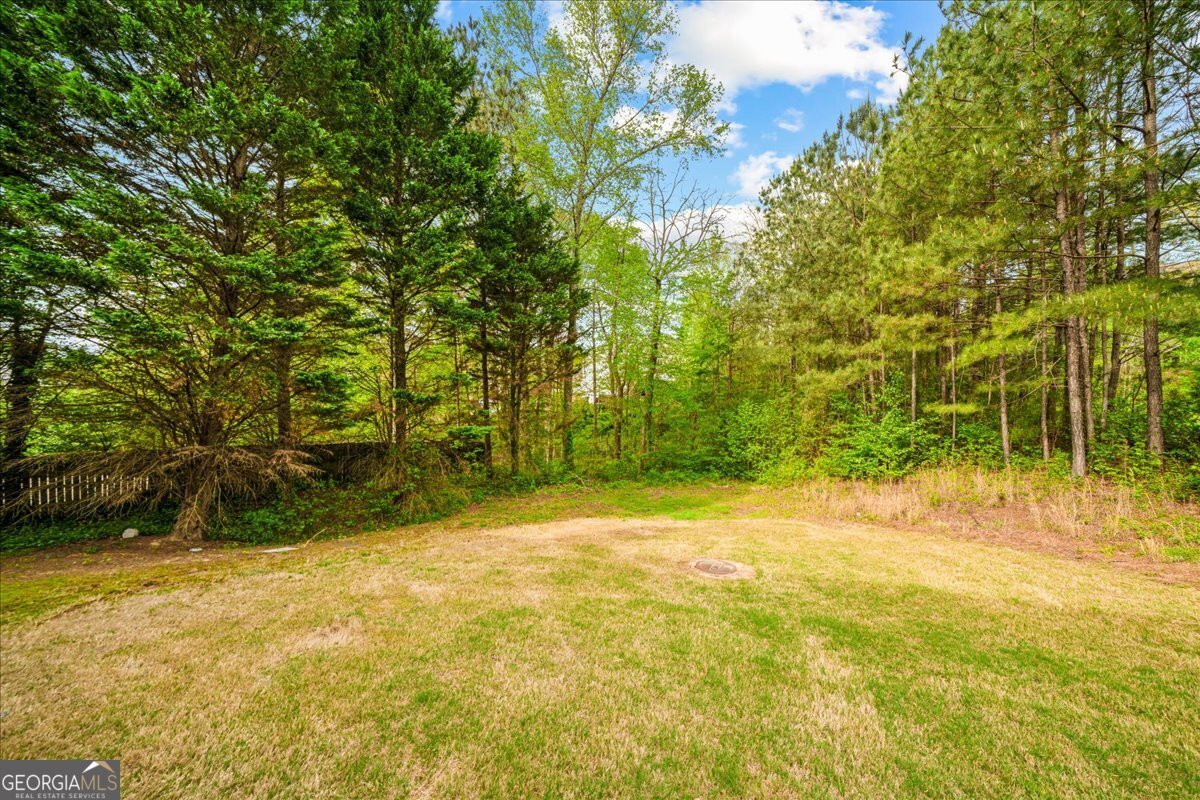 1365 Willis Lake Drive Kennesaw - Photo 8