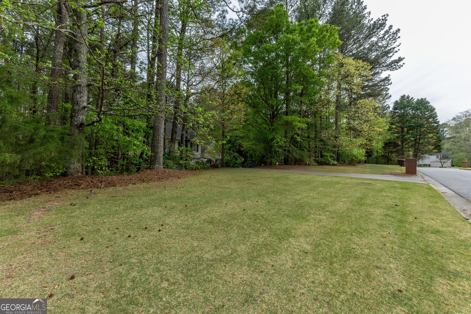 175 Weeping Willow Way Tyrone - Photo 55