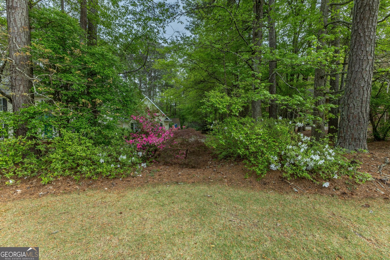 175 Weeping Willow Way Tyrone - Photo 56