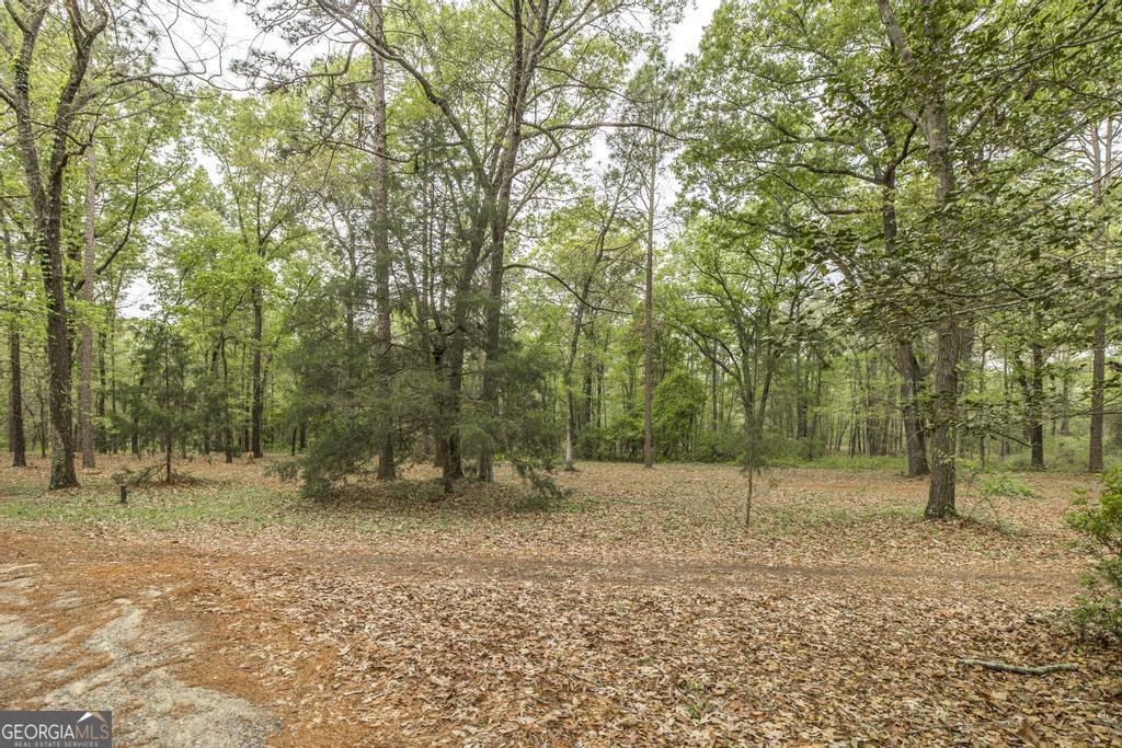 3989 Union Church Road Fort Valley - Photo 32