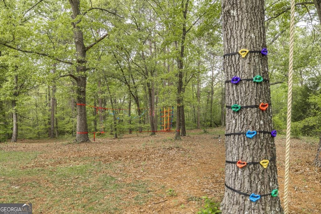 3989 Union Church Road Fort Valley - Photo 33