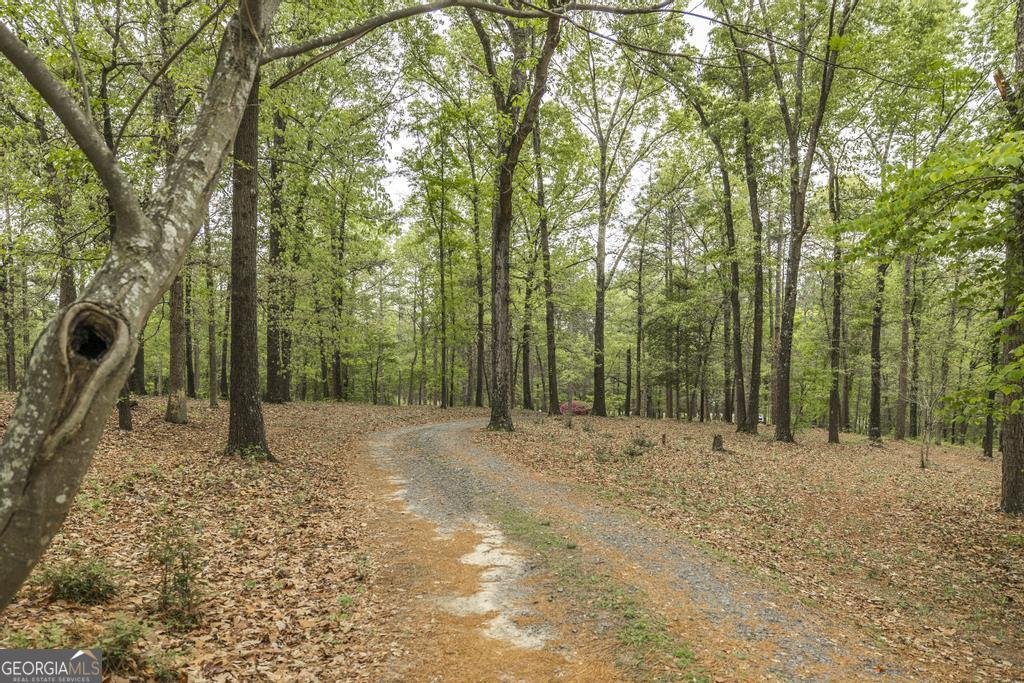 3989 Union Church Road Fort Valley - Photo 37