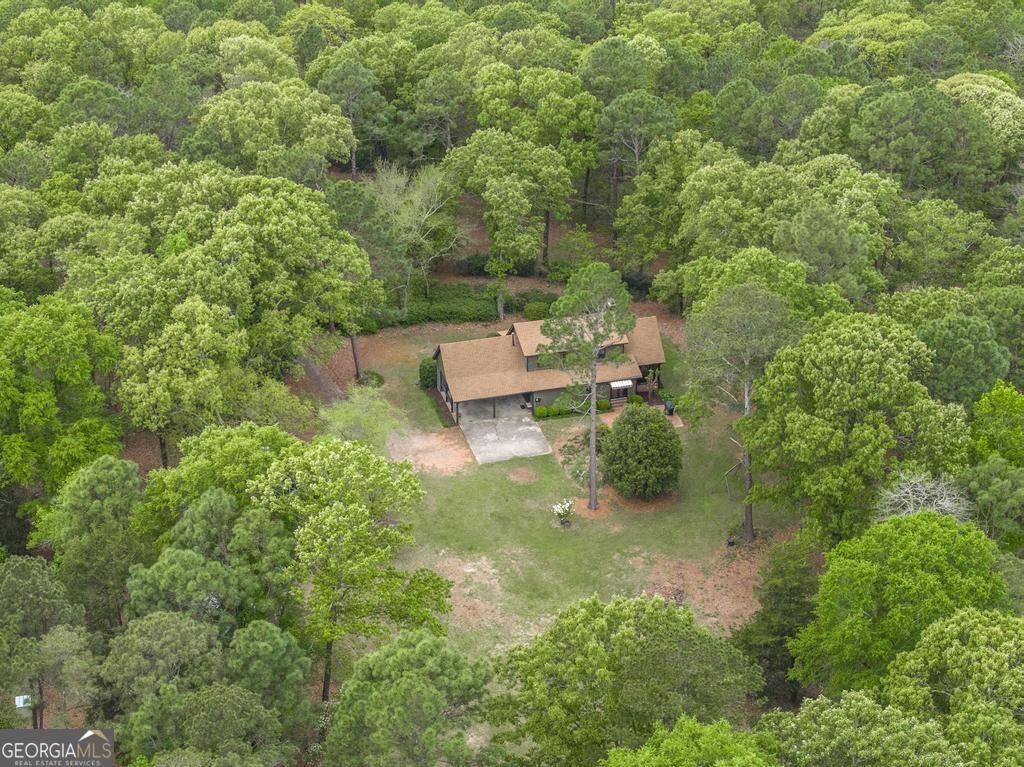 3989 Union Church Road Fort Valley - Photo 39