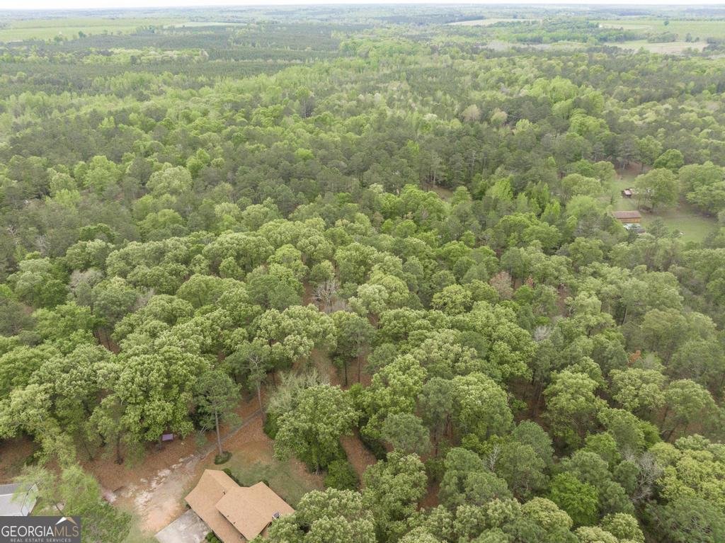 3989 Union Church Road Fort Valley - Photo 40