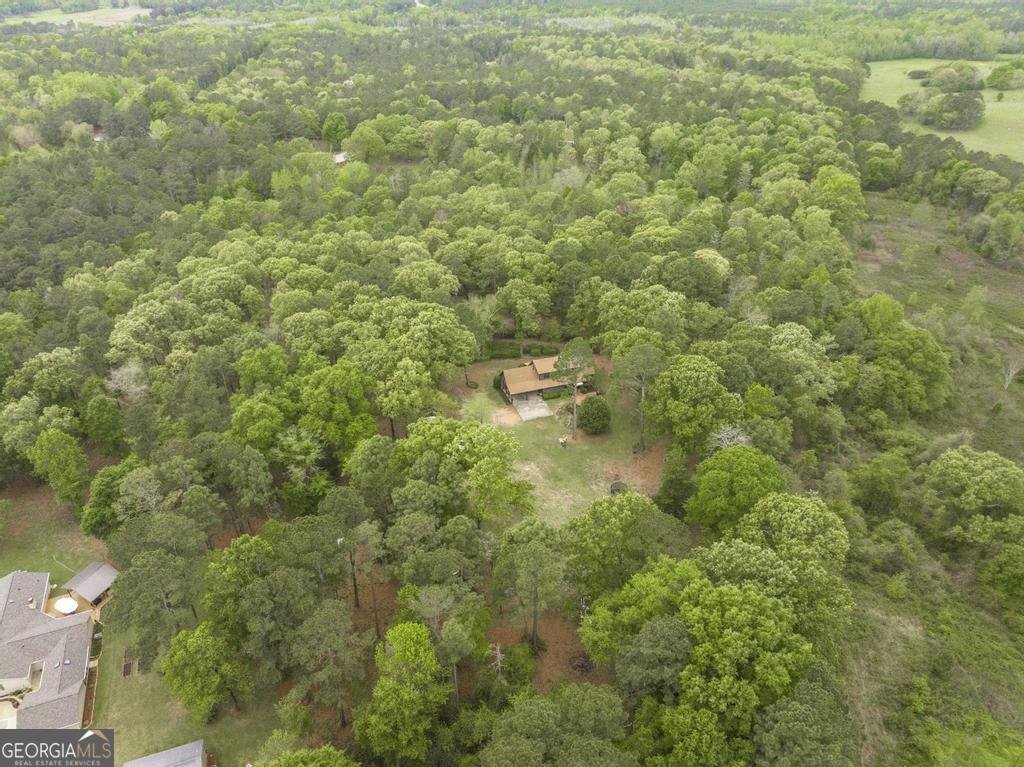 3989 Union Church Road Fort Valley - Photo 41