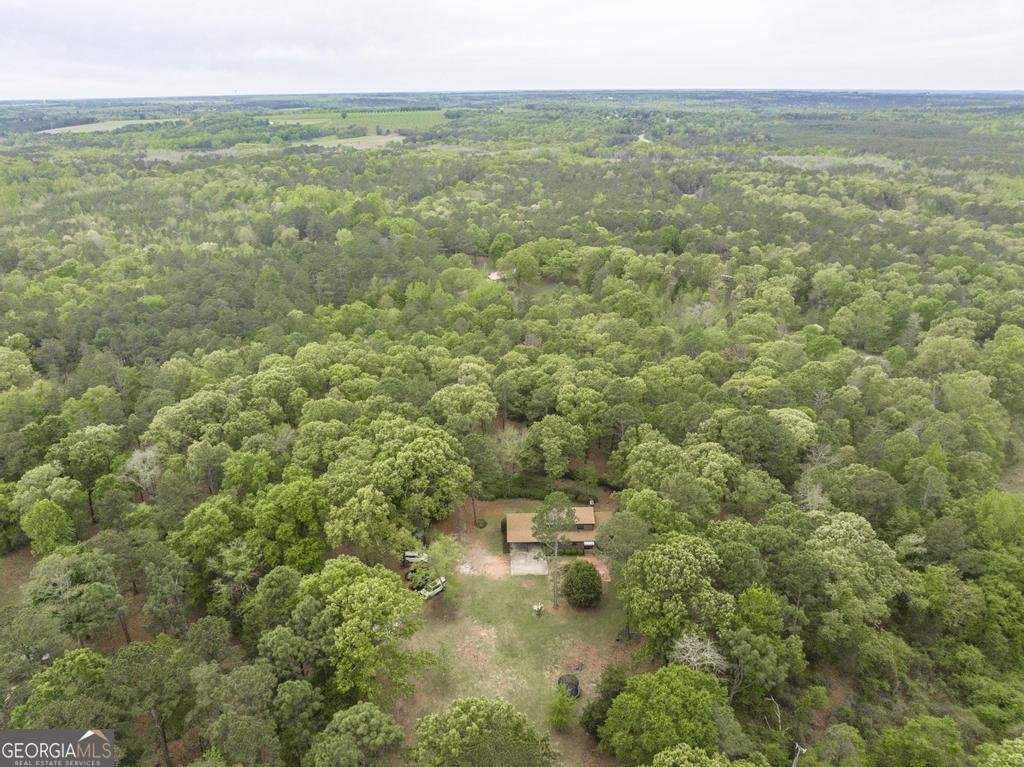 3989 Union Church Road Fort Valley - Photo 42