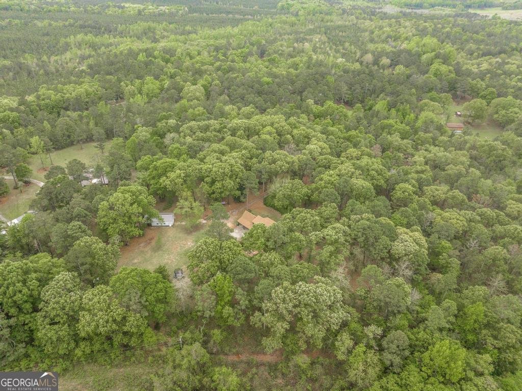 3989 Union Church Road Fort Valley - Photo 43