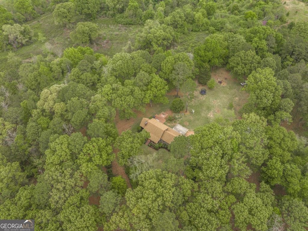 3989 Union Church Road Fort Valley - Photo 44