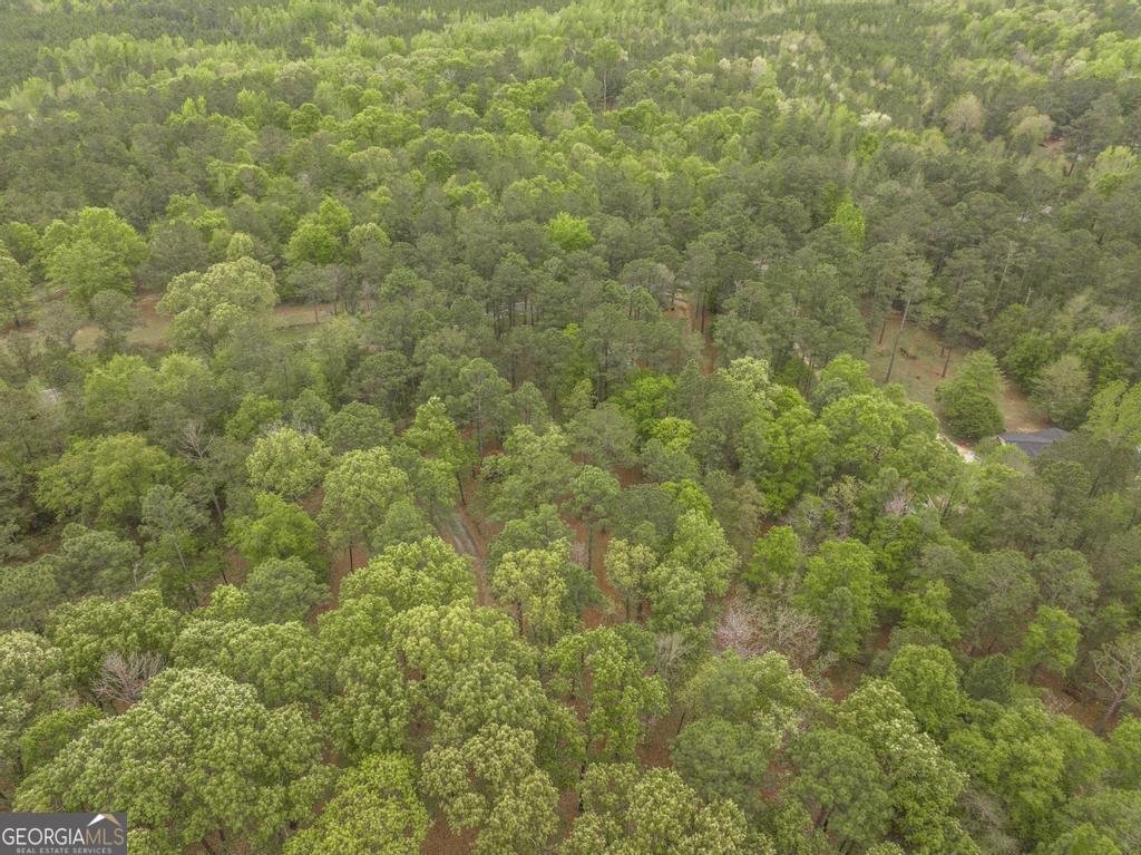 3989 Union Church Road Fort Valley - Photo 45