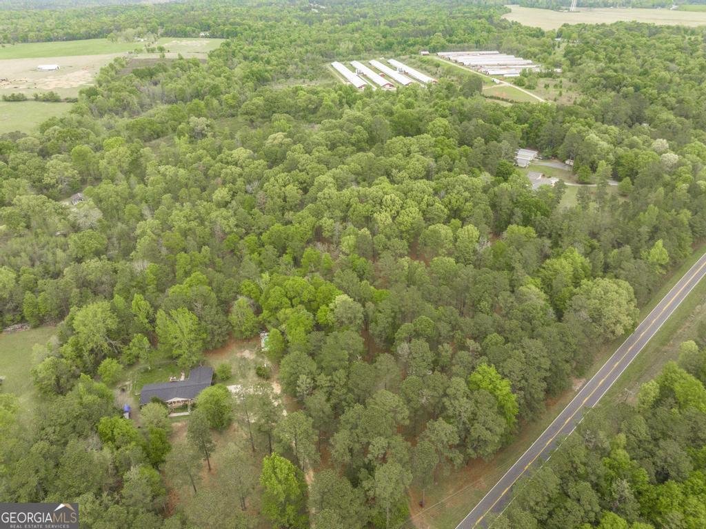 3989 Union Church Road Fort Valley - Photo 46