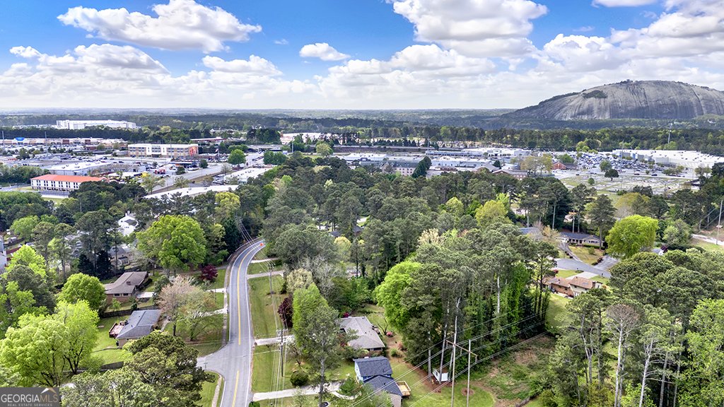1763 Pounds Road Stone Mountain - Photo 51