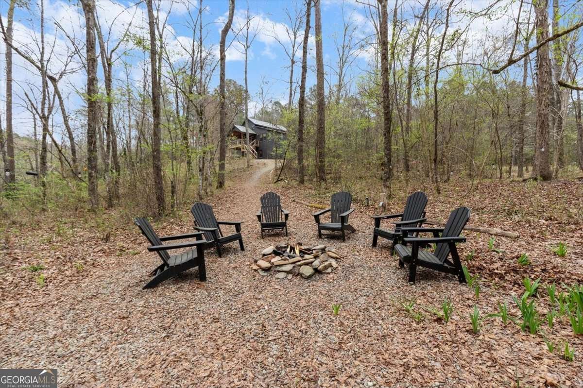 496 Meadow Lane Talking Rock - Photo 42