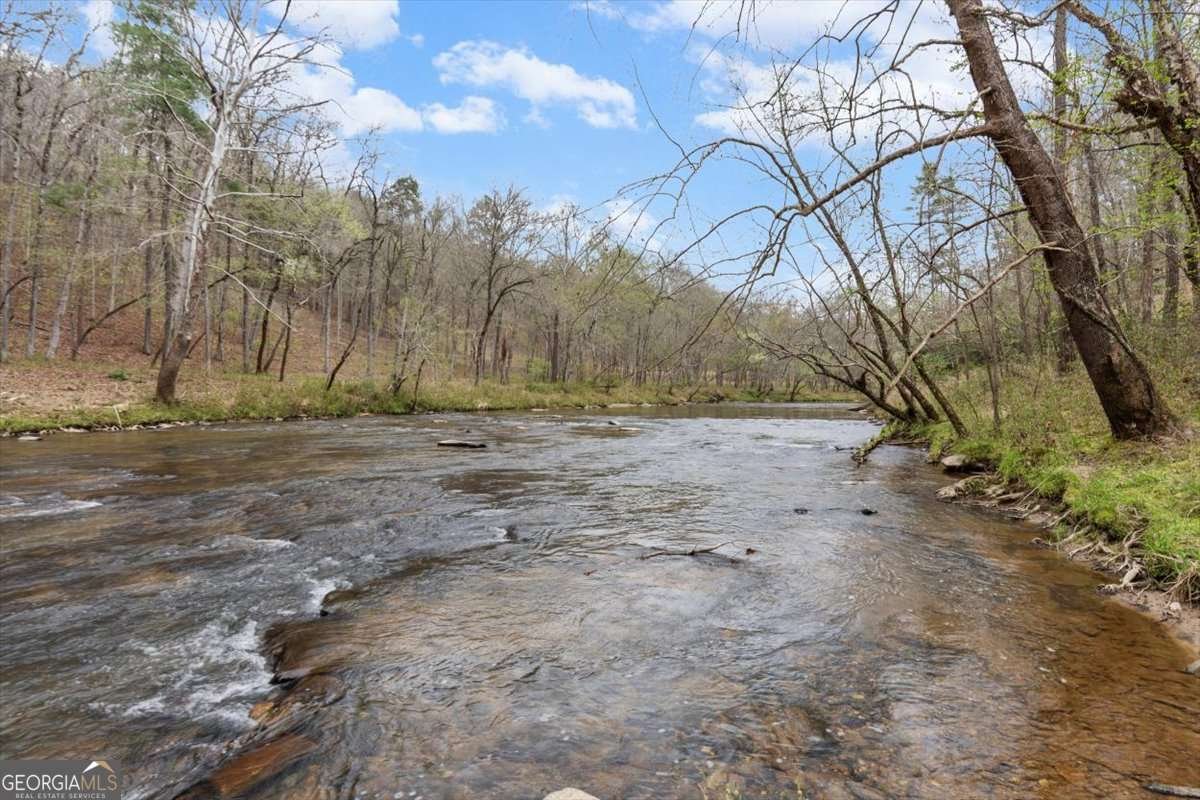 496 Meadow Lane Talking Rock - Photo 43