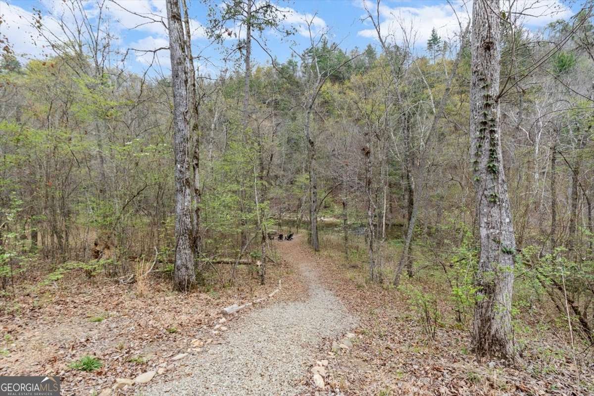 496 Meadow Lane Talking Rock - Photo 44